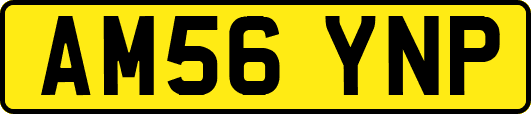 AM56YNP