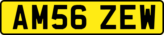 AM56ZEW