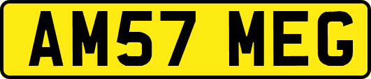 AM57MEG
