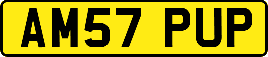 AM57PUP
