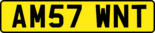 AM57WNT