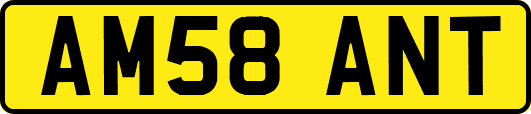 AM58ANT