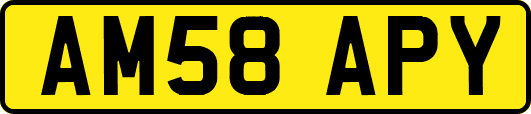 AM58APY