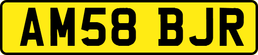 AM58BJR