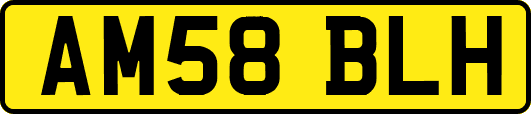 AM58BLH