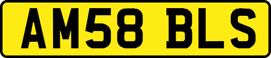 AM58BLS