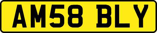 AM58BLY