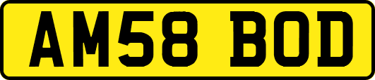AM58BOD