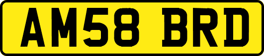 AM58BRD