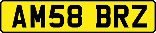 AM58BRZ