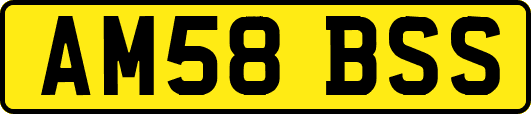 AM58BSS