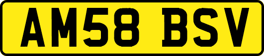 AM58BSV