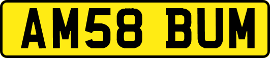 AM58BUM