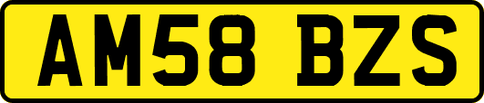 AM58BZS