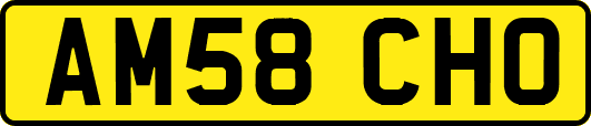 AM58CHO