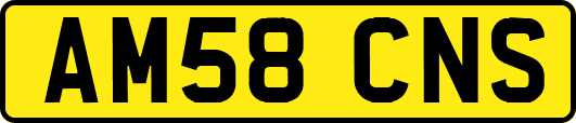 AM58CNS