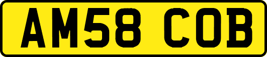 AM58COB
