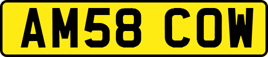 AM58COW