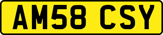 AM58CSY