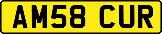AM58CUR