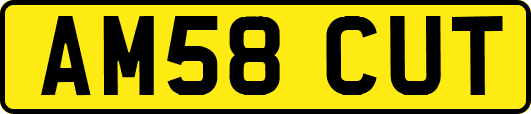 AM58CUT