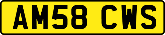 AM58CWS