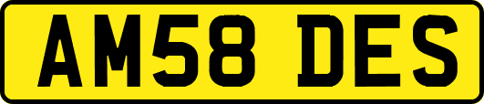 AM58DES