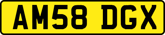 AM58DGX