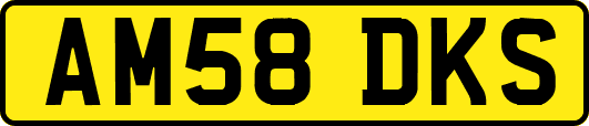 AM58DKS