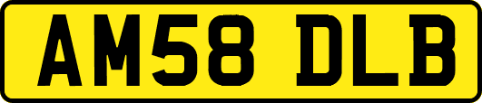 AM58DLB