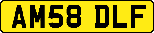 AM58DLF