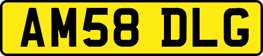 AM58DLG