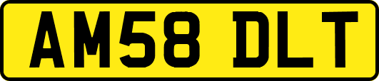 AM58DLT
