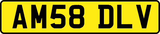 AM58DLV