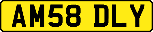 AM58DLY