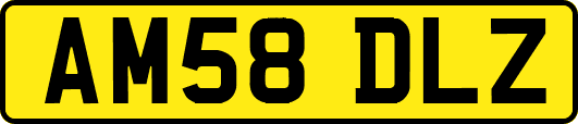 AM58DLZ