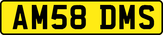 AM58DMS
