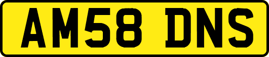 AM58DNS
