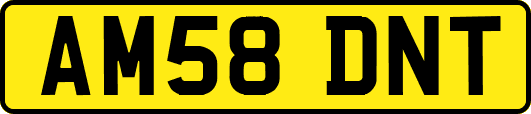 AM58DNT