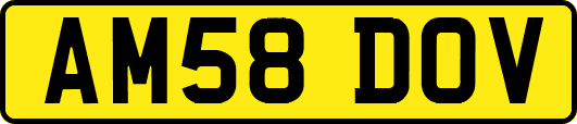 AM58DOV
