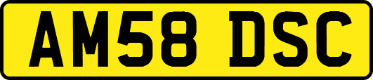 AM58DSC