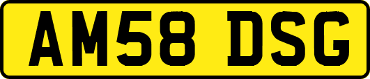 AM58DSG