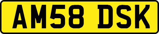 AM58DSK