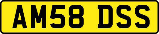 AM58DSS