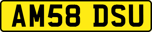 AM58DSU