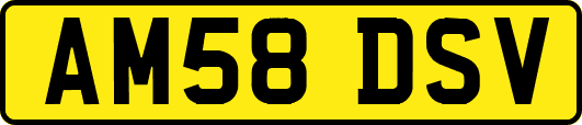 AM58DSV