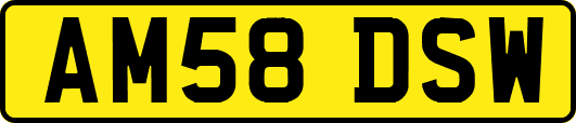 AM58DSW
