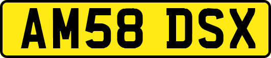 AM58DSX