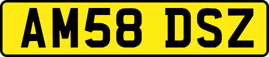 AM58DSZ