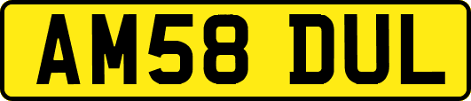 AM58DUL